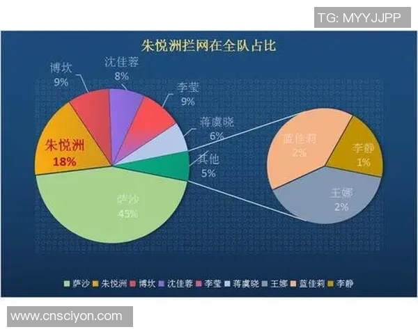 武汉排球队节奏对比分析：战术风格与比赛表现的深度剖析
