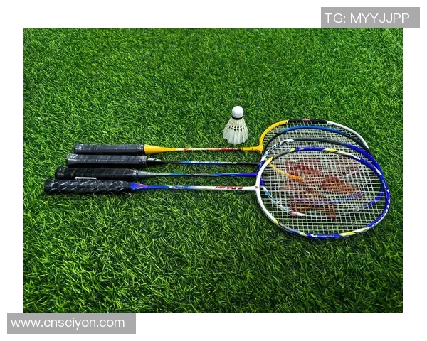 成都羽毛球队实力飙升再创佳绩引领羽毛球排名新高度 成都羽毛球队实力飙升再创佳绩引领羽毛球排名新高度