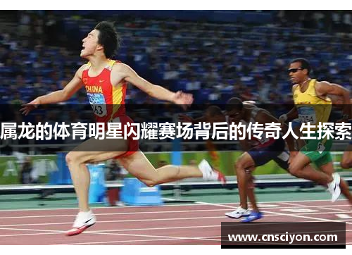 属龙的体育明星闪耀赛场背后的传奇人生探索