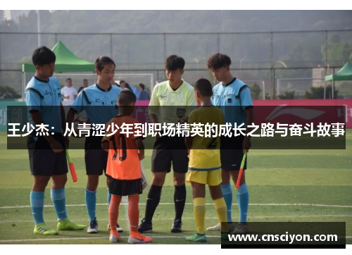 王少杰：从青涩少年到职场精英的成长之路与奋斗故事